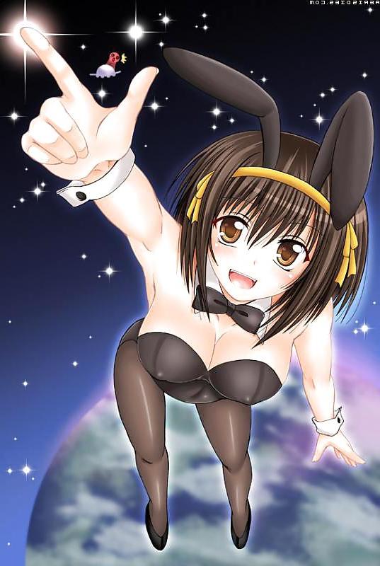 25P Bunny girls hentai