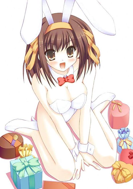 25P Bunny girls hentai