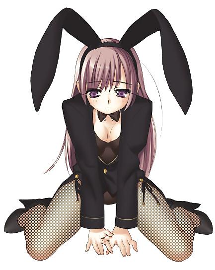 25P Bunny girls hentai