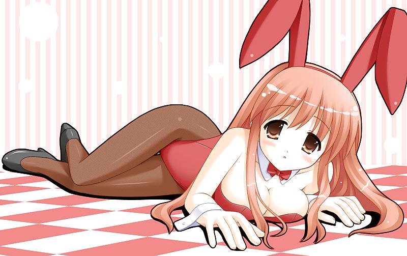 25P Bunny girls hentai