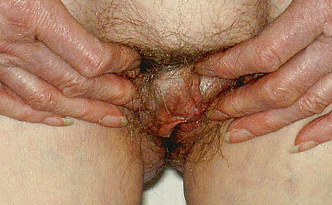 25P Hairy pussy  my old slut  josee