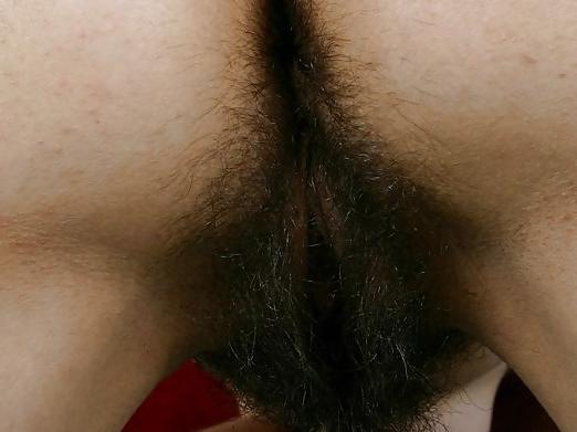 25P Hairy Asses