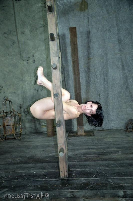 16P Well, little Miss Elise Graves, I hope you are ready for a day full of rope, co