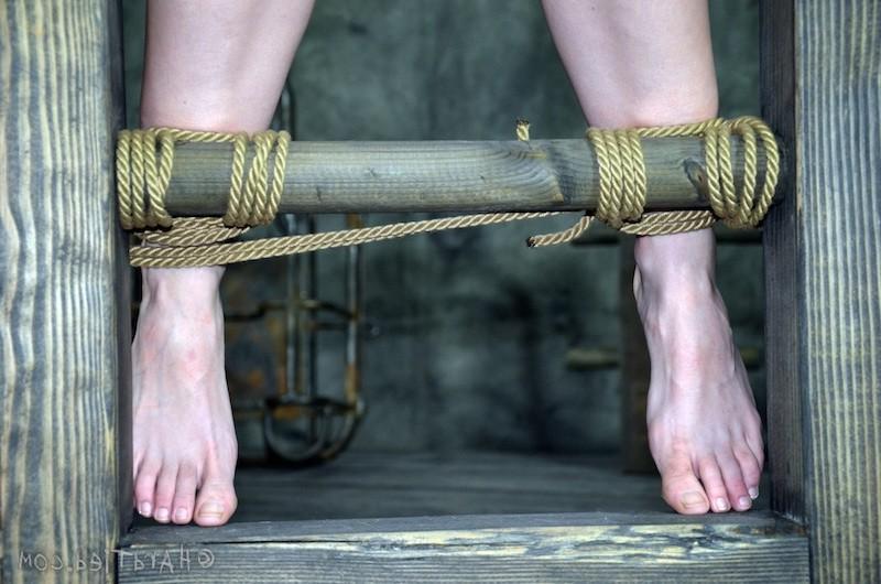 16P Well, little Miss Elise Graves, I hope you are ready for a day full of rope, co