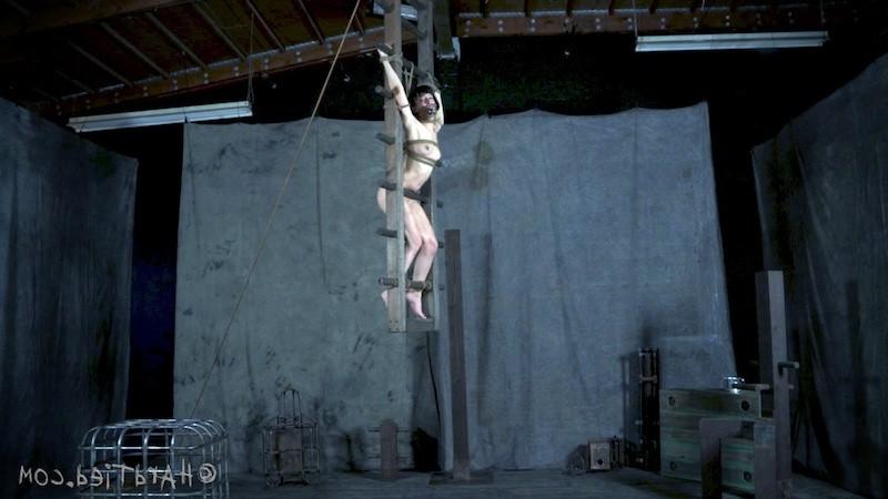 16P Well, little Miss Elise Graves, I hope you are ready for a day full of rope, co