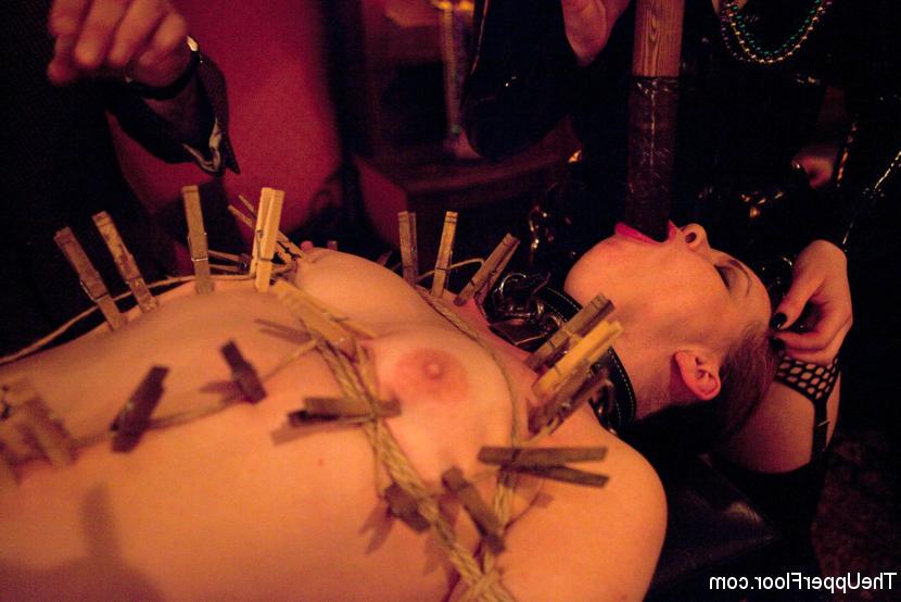 15P Bdsm sex party pics