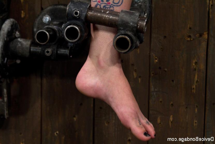 15P Bdsm porn photos