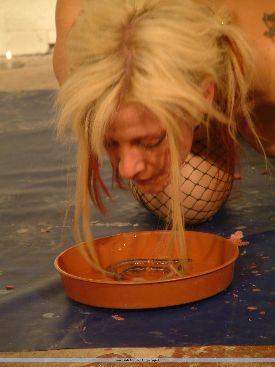 14P Slavegirls Crystel Lei in speculum pussy punishment and bizarre bdsm humiliation