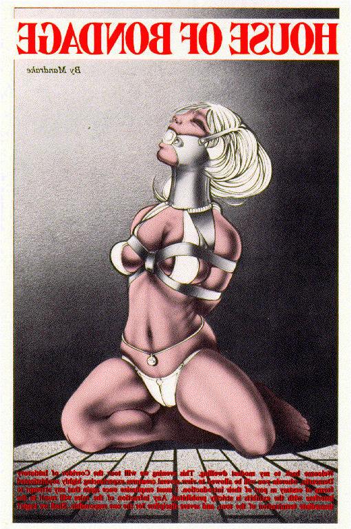 15P classic fetish bdsm drawings