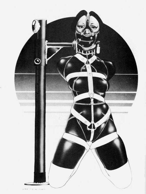 15P classic Robert Bishop bdsm artwork