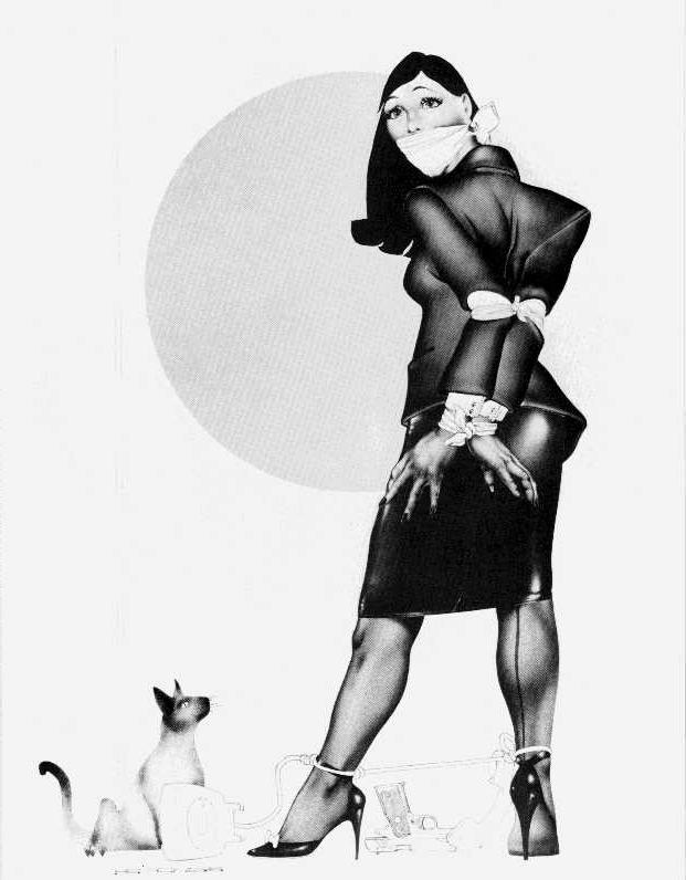 15P classic Robert Bishop bdsm artwork