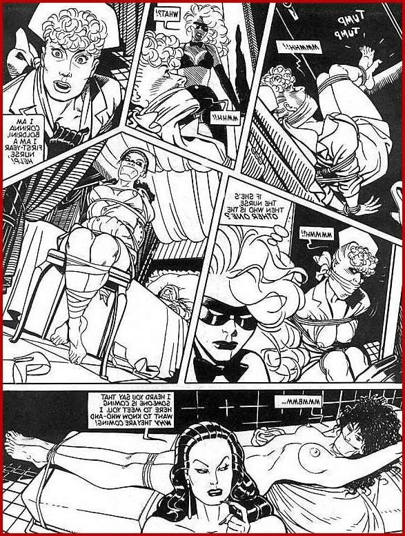14P secret agent lesbian bdsm comic