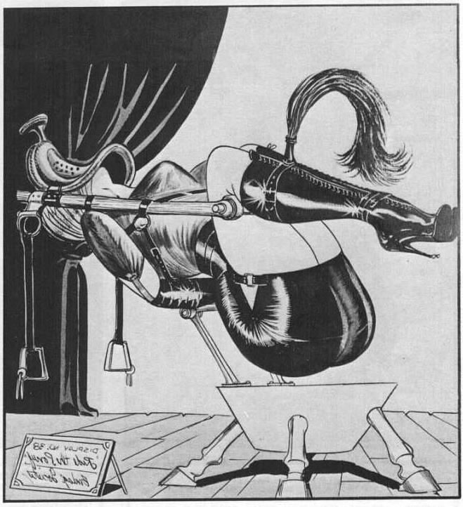 16P vintage bdsm artwork
