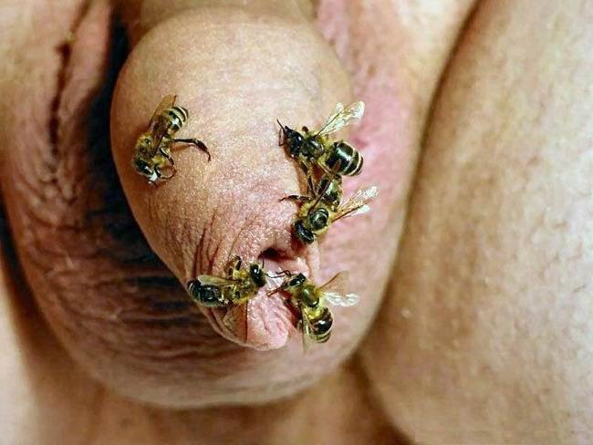 16P weird porn pics