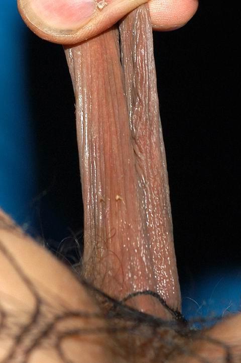 16P weird porn pics