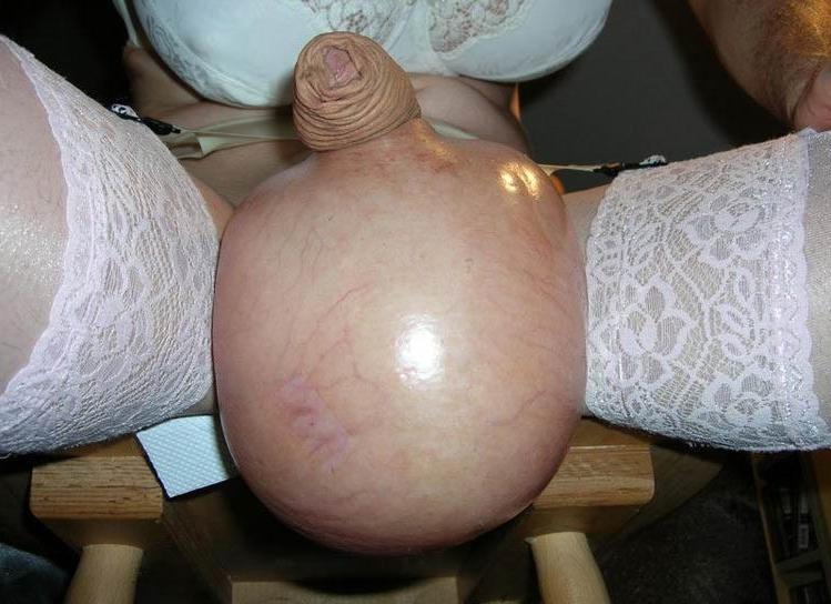 15P Weird Porn Pics