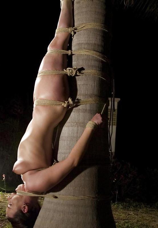 9P Bdsm and submission