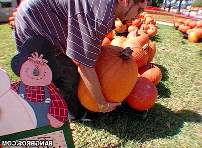 16P Pumpking for halloween!!!