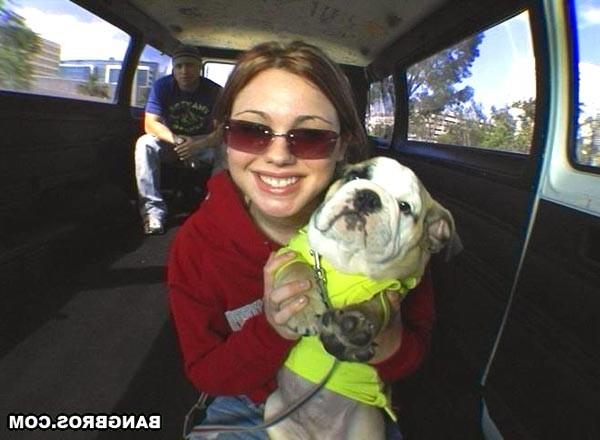 16P She wanted the dog