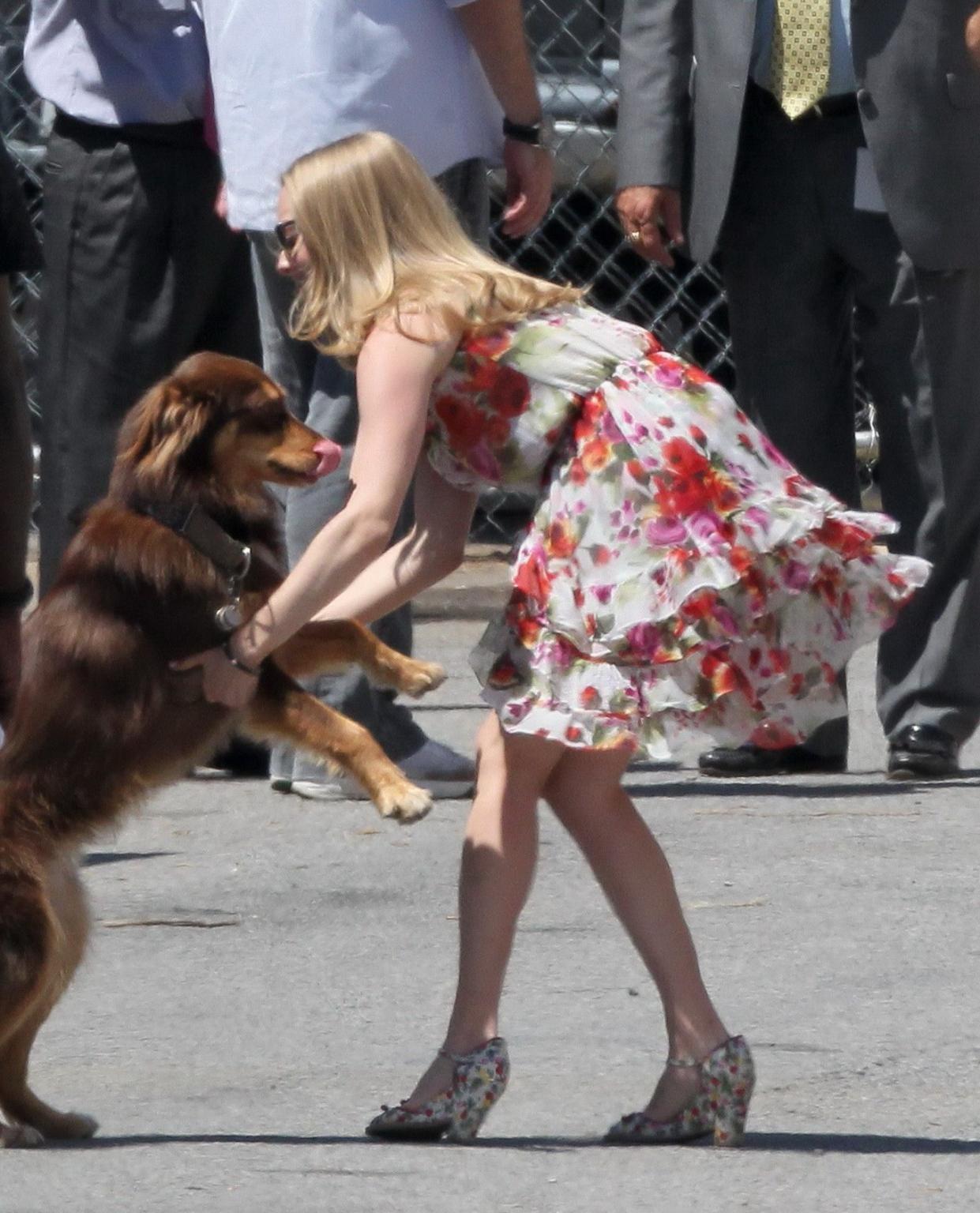 16P Amanda Seyfried humped by her dog on the set of 'The Wedding