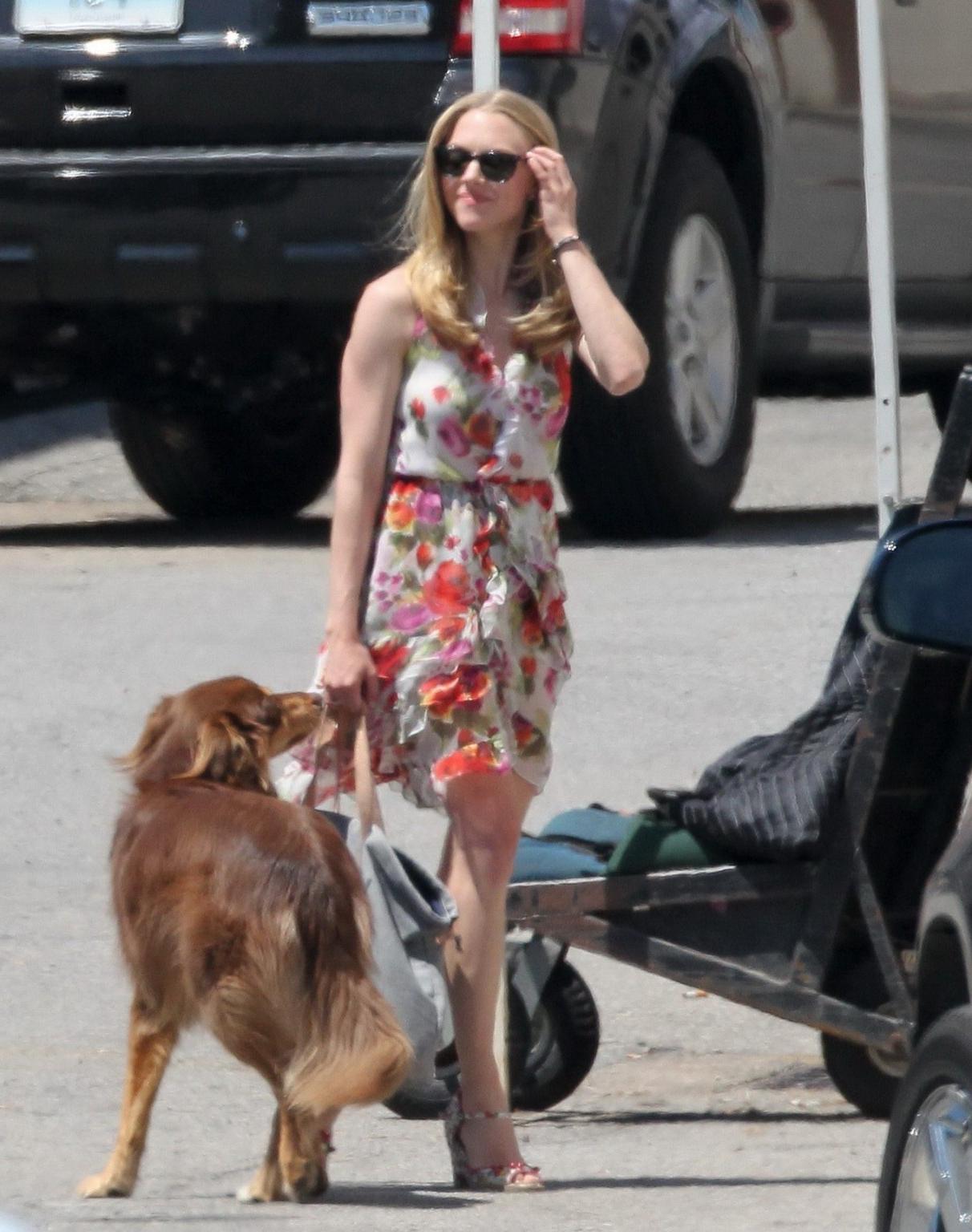 16P Amanda Seyfried humped by her dog on the set of 'The Wedding