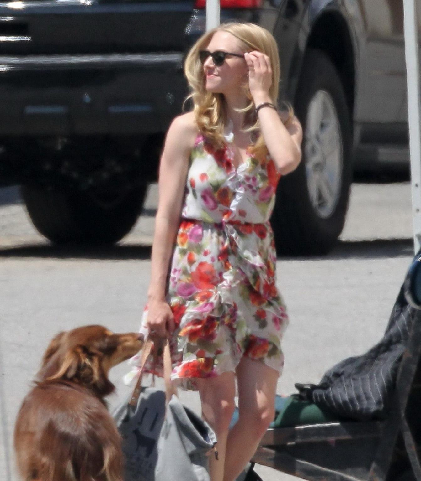 16P Amanda Seyfried humped by her dog on the set of 'The Wedding