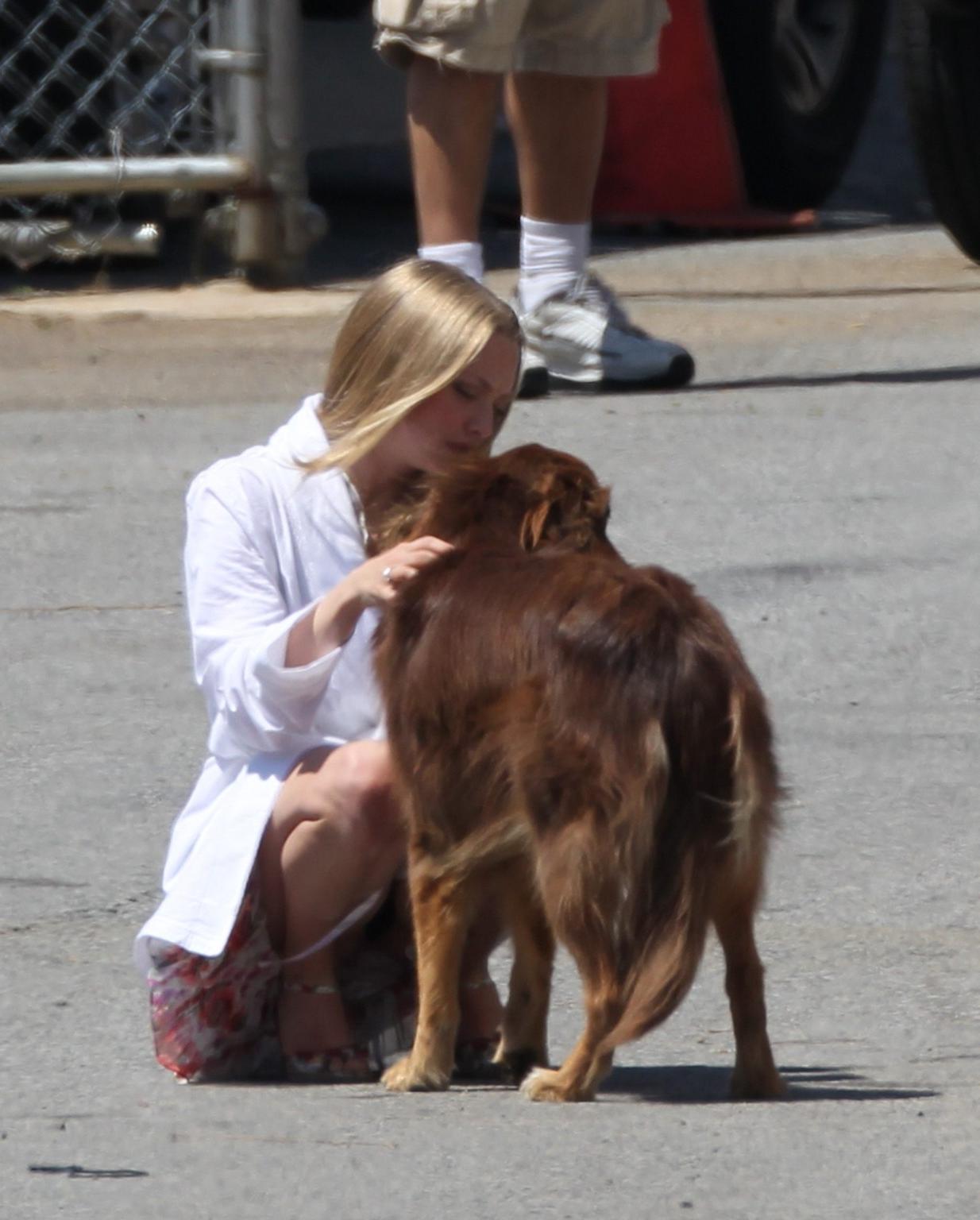 16P Amanda Seyfried humped by her dog on the set of 'The Wedding