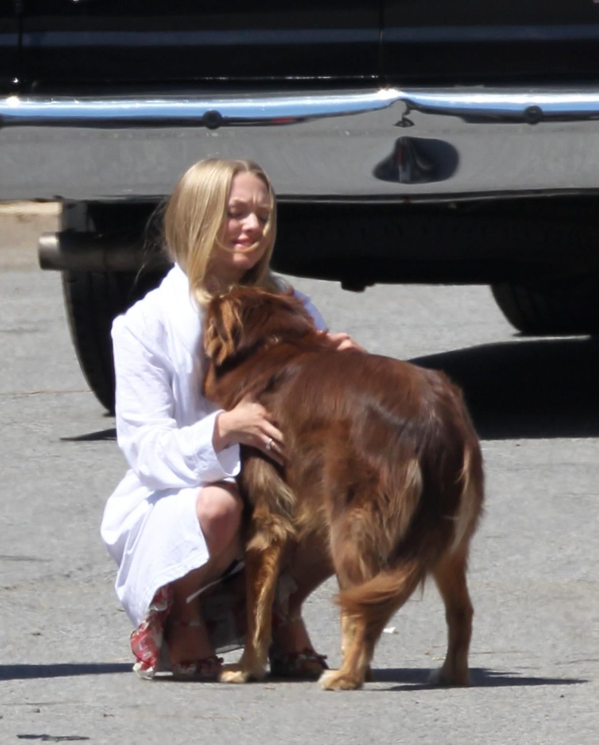 16P Amanda Seyfried humped by her dog on the set of 'The Wedding