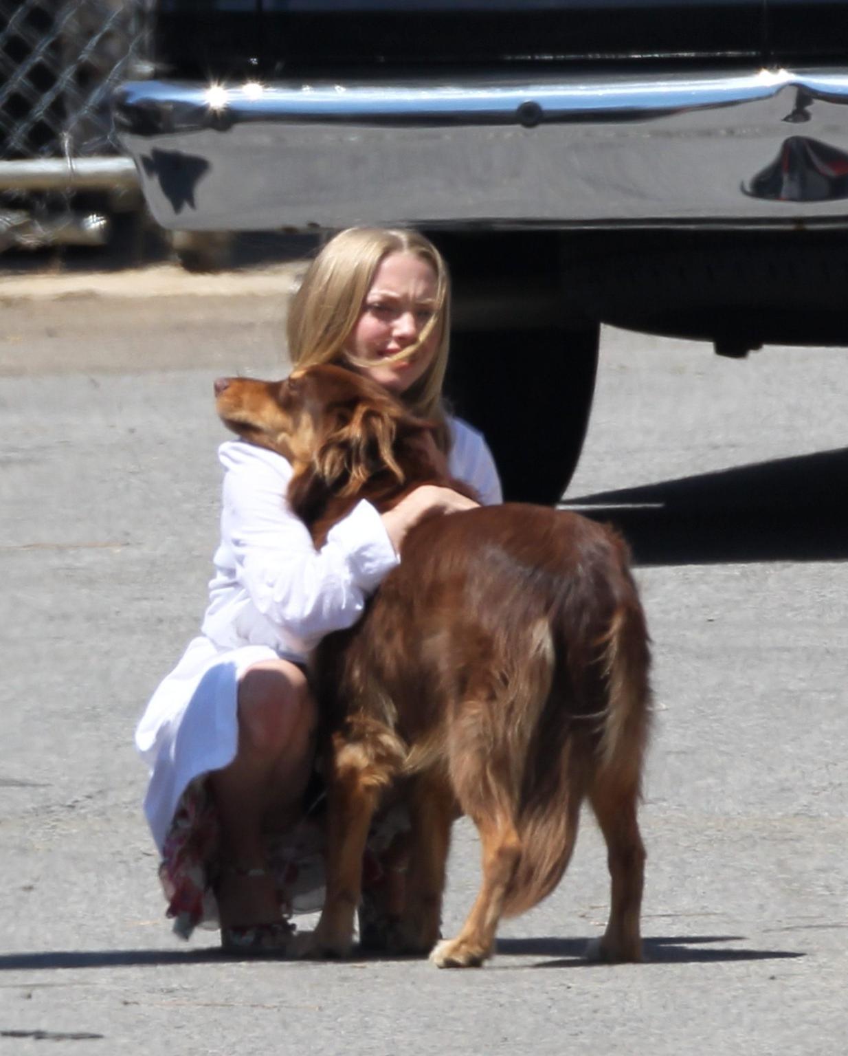 16P Amanda Seyfried humped by her dog on the set of 'The Wedding