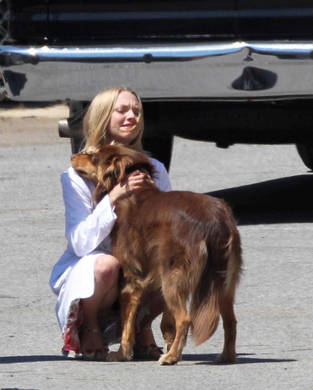 16P Amanda Seyfried humped by her dog on the set of 'The Wedding