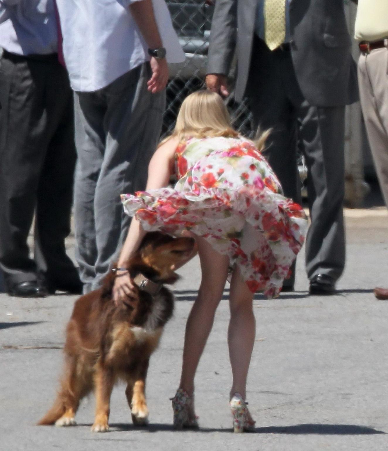 16P Amanda Seyfried humped by her dog on the set of 'The Wedding