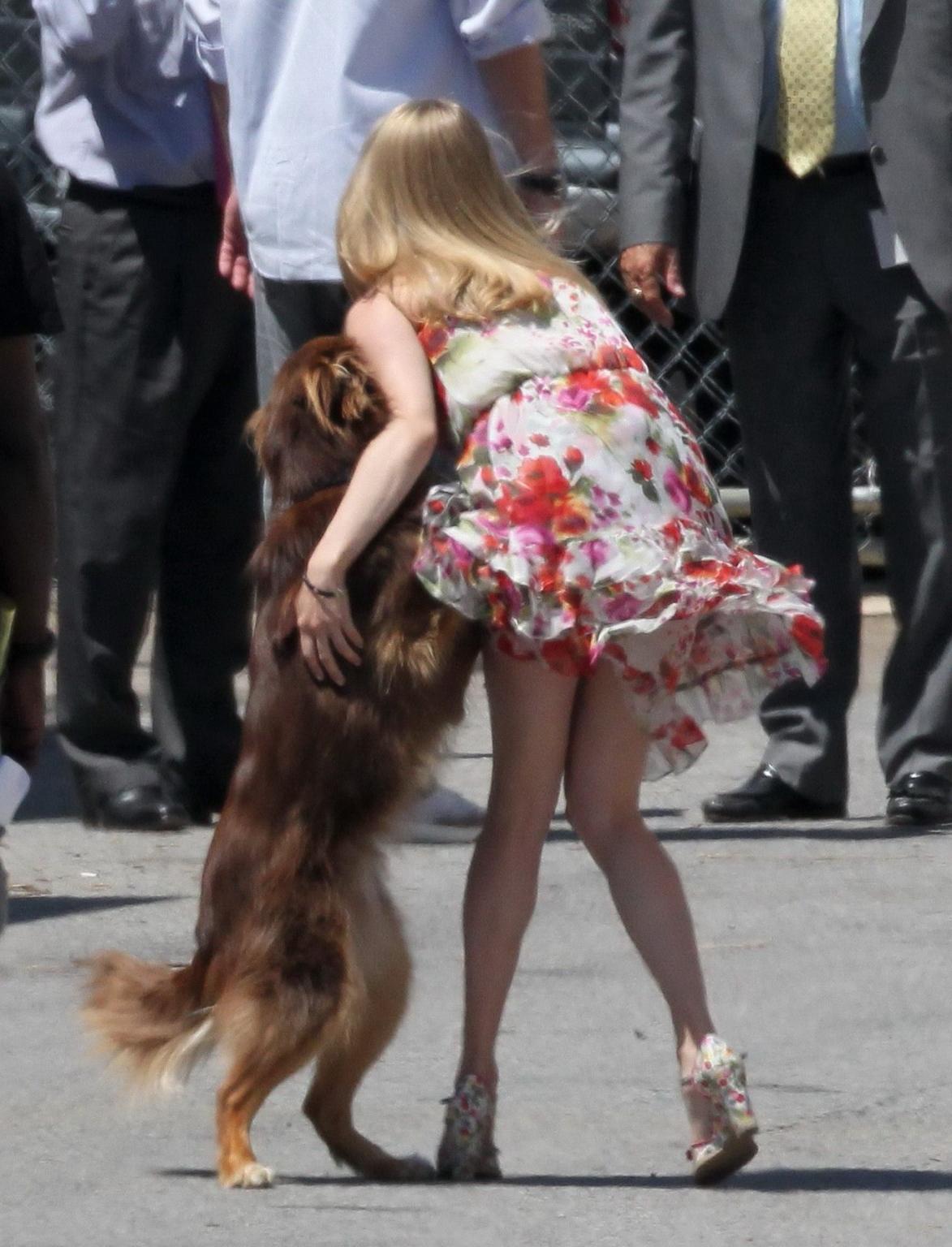 16P Amanda Seyfried humped by her dog on the set of 'The Wedding
