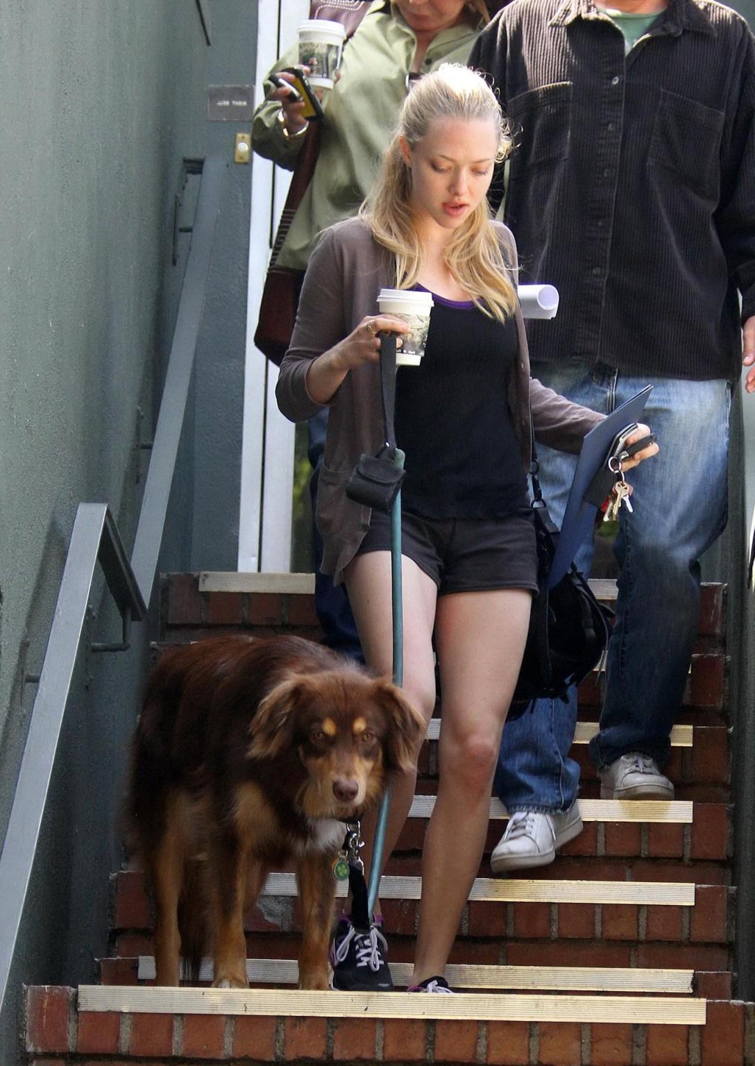 16P Amanda Seyfried shows her ass in shorts leaving the gym in Hollywood