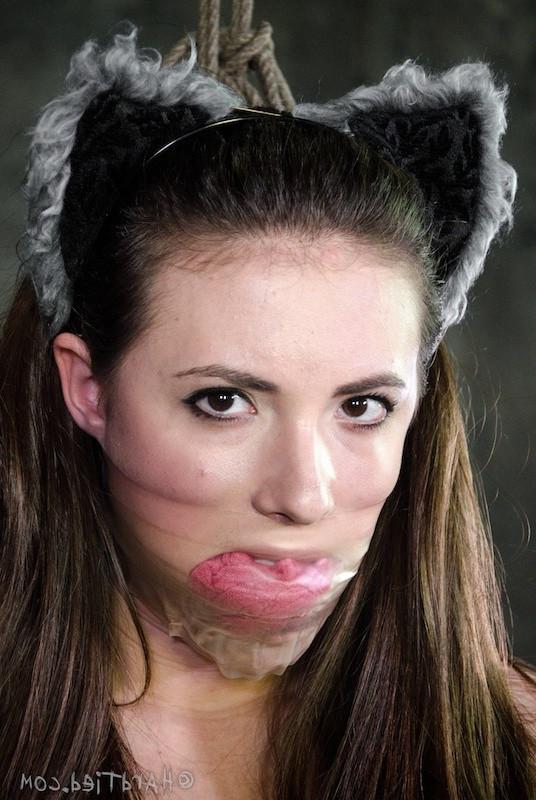 16P Casey Calvert kinky bdsm cat with ears and tail bound in dungeon