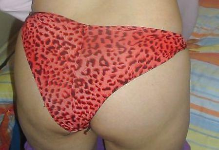 25P ZIZEL S WET PANTIES
