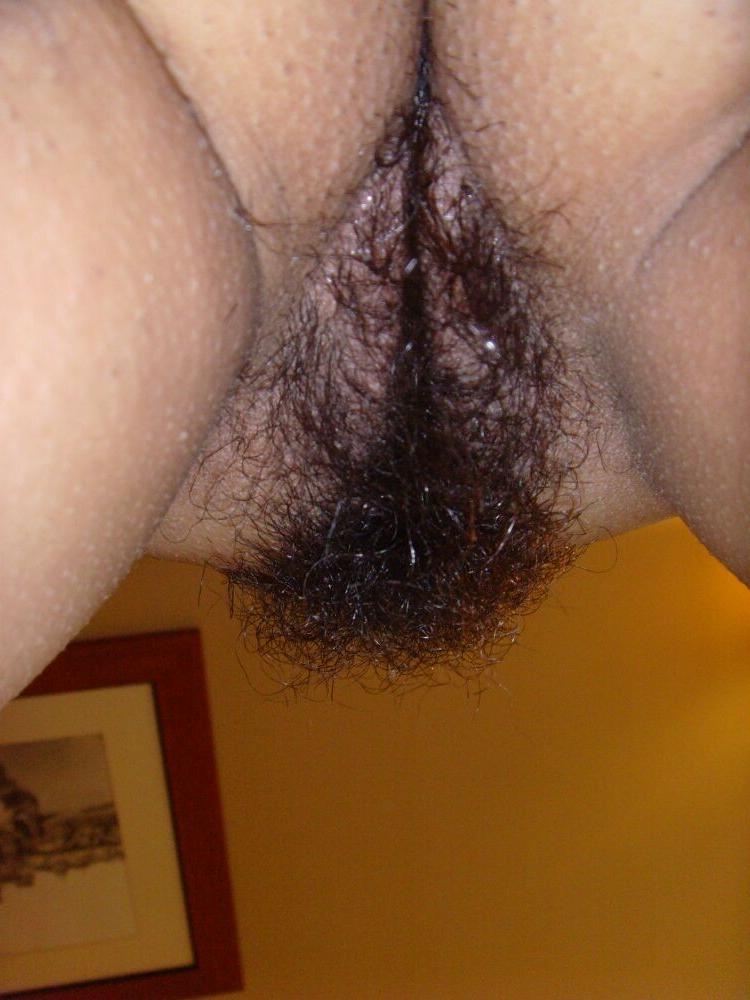 15P Hairy pussy girls posing gallery 10