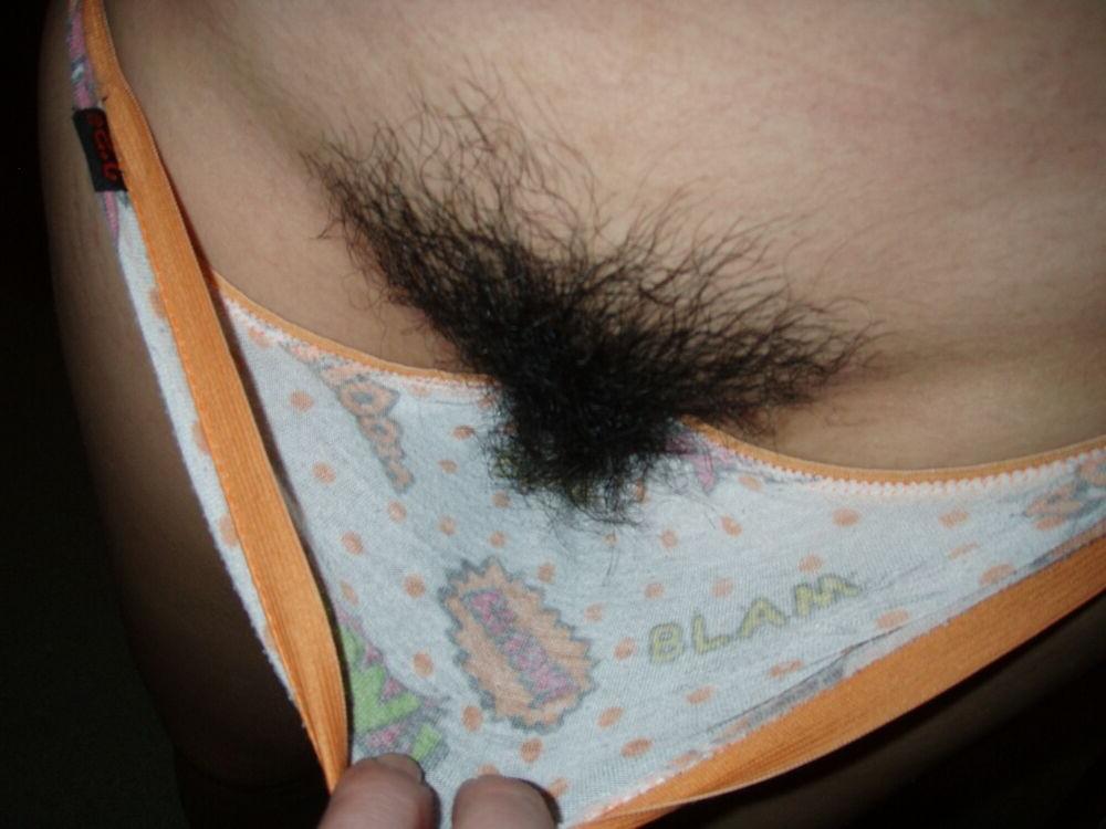 15P Hairy pussy girls posing gallery 18