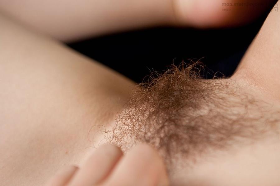 15P Furry Redheaded Amateur Hottie Shows Her Sweet Bush