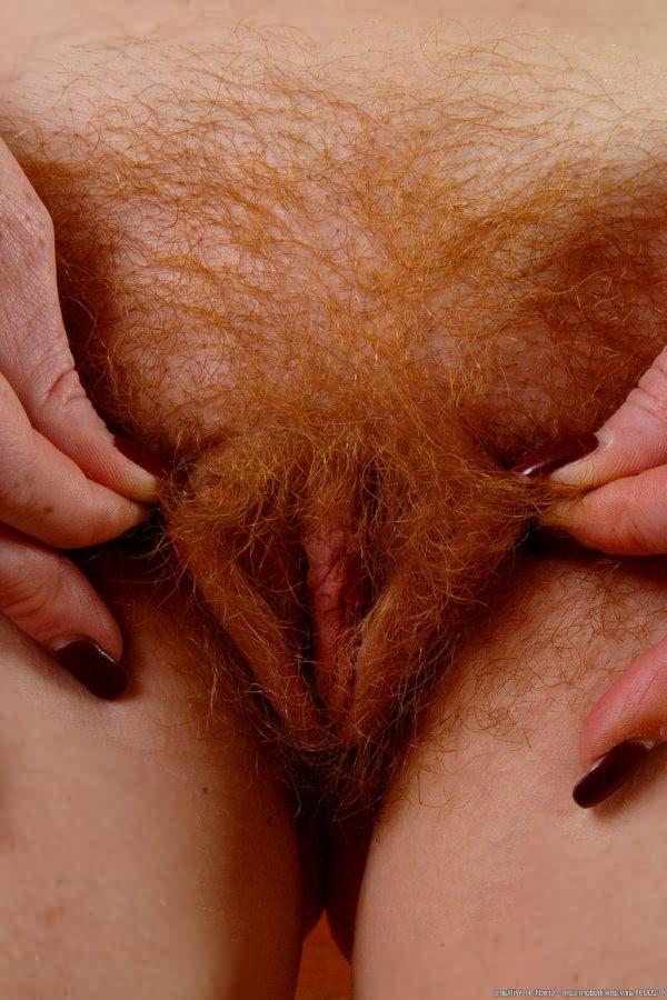 16P Hairy mature redhead milf bares her hairy red bush