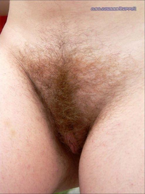 15P Busty Naturally Hairy Hippie Nudist Romps Nude Outdoors