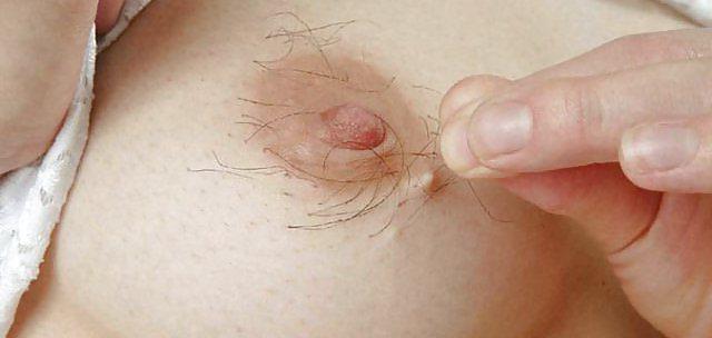 10P Hairy tits and more hairy! pt.2