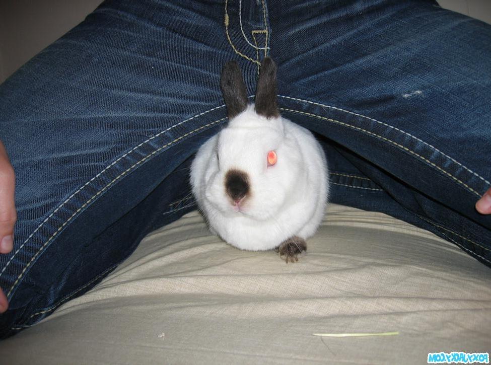 15P Busty Foxy Jacky plays with bunny in homemade pix