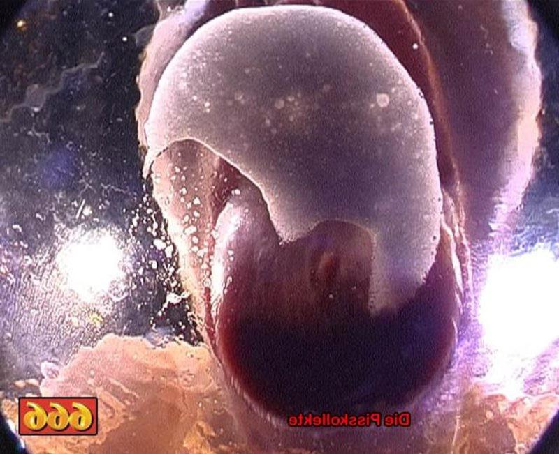 20P German hardcore pissing bukkake orgy with many freaky girls