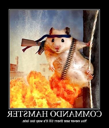 18P Hamster-Club