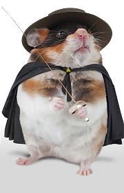 18P Hamster-Club