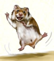 18P Hamster-Club