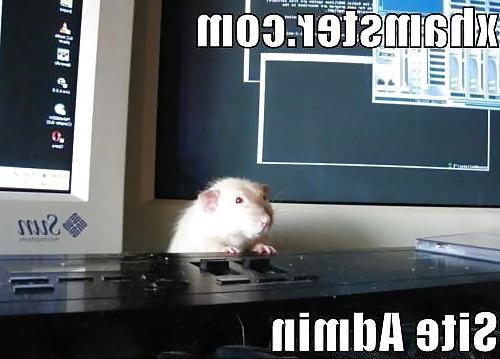 18P Hamster-Club