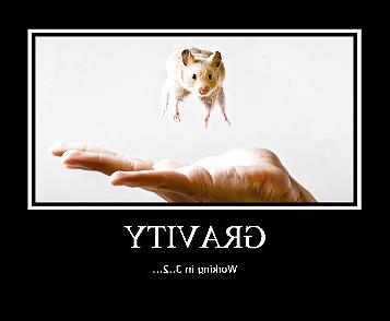 18P Hamster-Club