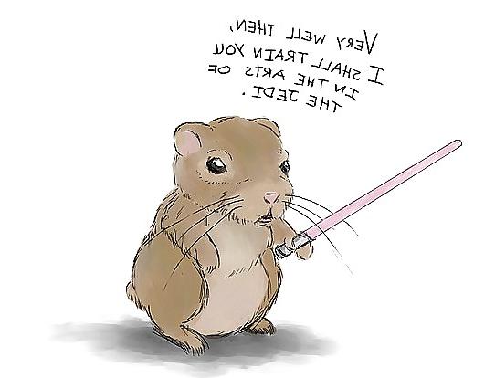 18P Hamster-Club