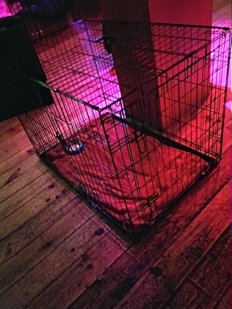 24P Cork Kink Club